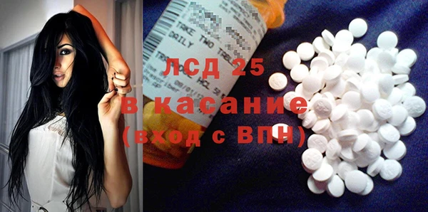 ECSTASY Алзамай