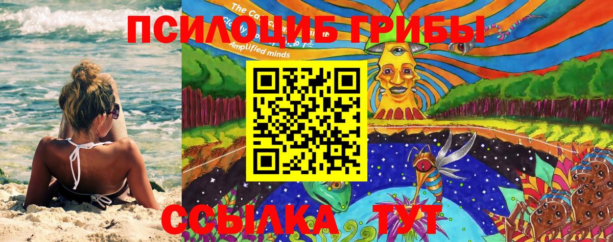 Евпатория  Галлюциногенные грибы прущие грибы  Галлюциногенные грибы мицелий  Вход с VPN 
